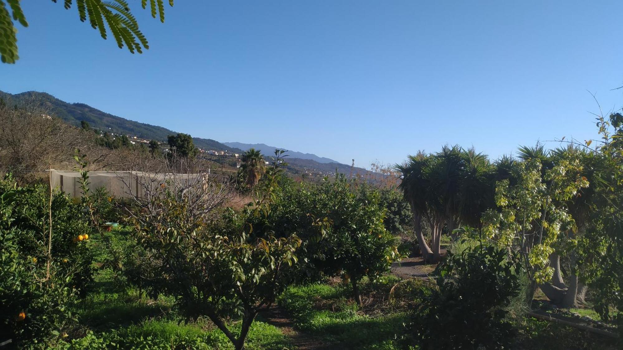 Finca Panorama Tijarafe Esterno foto
