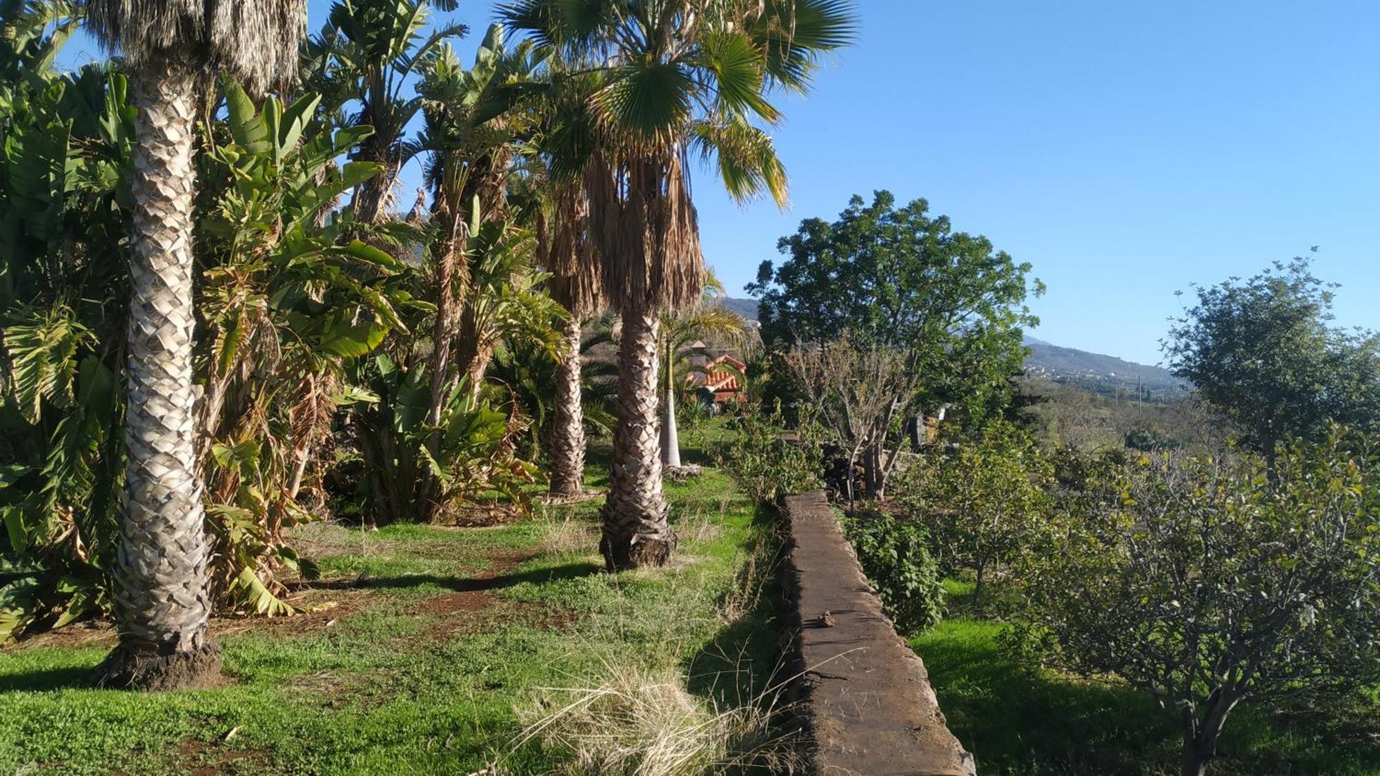 Finca Panorama Tijarafe Esterno foto