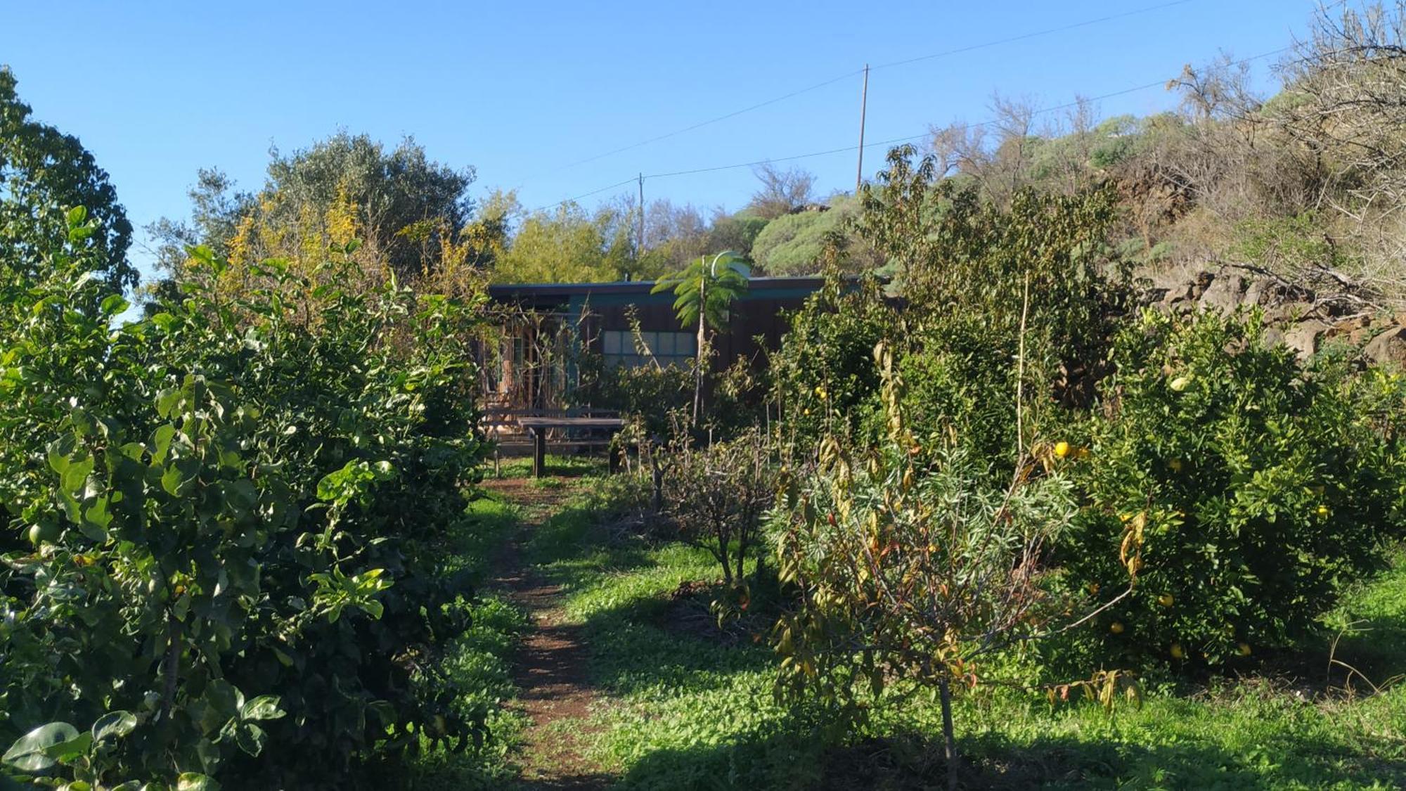 Finca Panorama Tijarafe Esterno foto